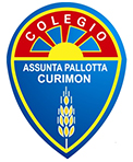 Colegio-Assunta-Pallota-San-Felipe